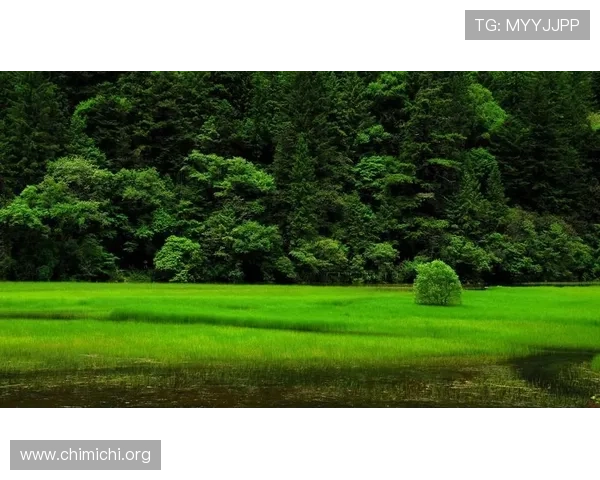 千亿像素看世界官网下载提供丰富高清图片库,方便用户快速下载全球高清风景资源 千亿像素看世界官网下载提供丰富高清图片库,方便用户快速下载全球高清风景资源