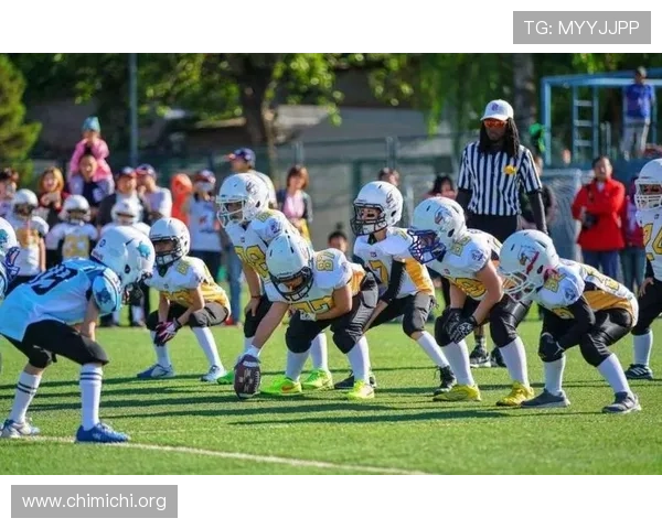 千亿球友会体育官网：平台合作伙伴与官方认证信息全面介绍