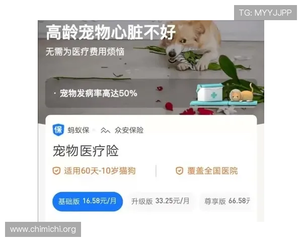 千亿球友会官网登陆遇到卡顿或无法进入的解决方案推荐