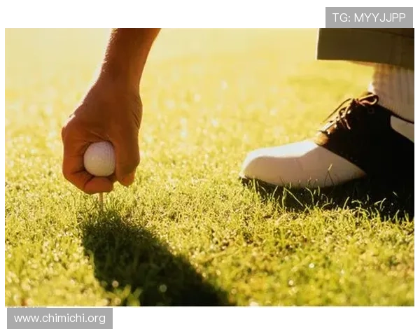 球友会体育app官网会员权益介绍,享受专属运动资源与服务保障